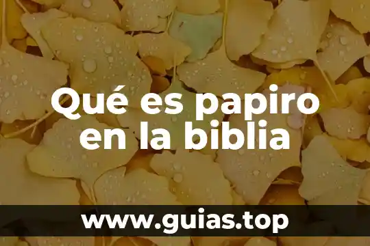 Que es ser fariseo segun la biblia 4 Qué es papiro en la biblia