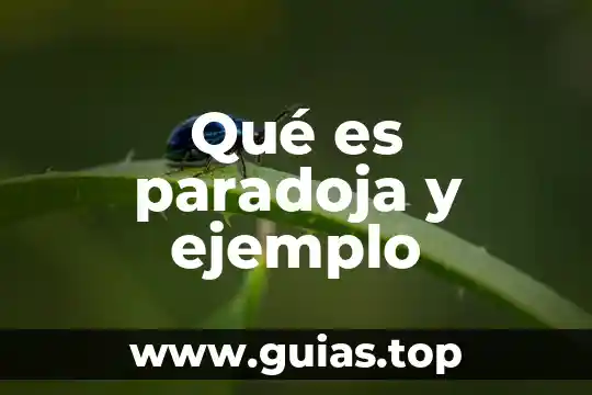 Que es un weblog ejemplo 3 Qué es paradoja y ejemplo