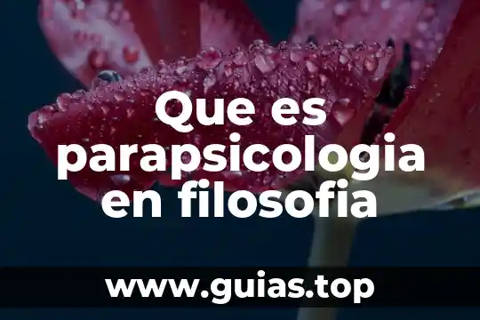 Que es la libertad de eleccion filosofia 3 Que es parapsicologia en filosofia