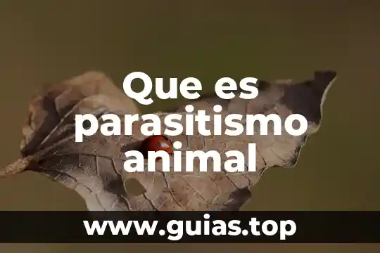 Que es pronostico en administracion ejemplos 7 Que es parasitismo animal