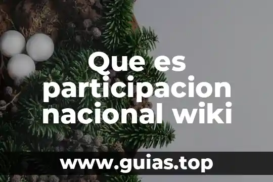 Que es una participacion economia 6 Que es participacion nacional wiki