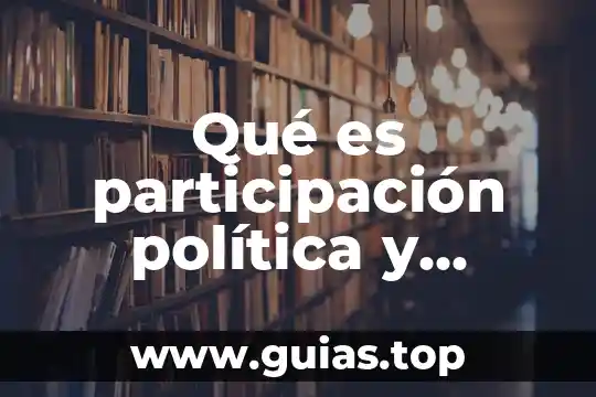 Que es una participacion economia 3 Qué es participación política y democracia