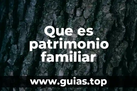 Ejemplo de que es patrimonio 7 Que es patrimonio familiar
