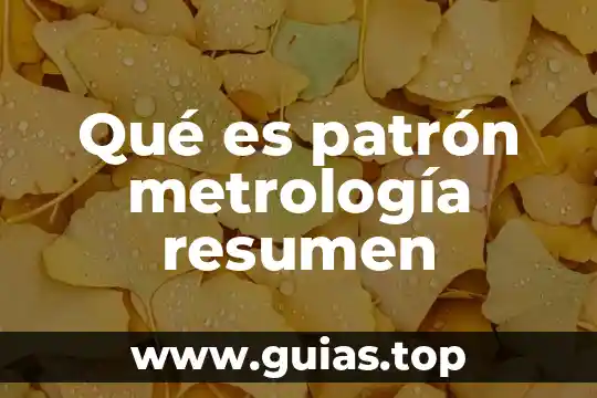 Que es un patron y trabajador en la ley 3 Qué es patrón metrología resumen