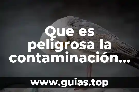 La contaminación del agua problematica social que es 3 Que es peligrosa la contaminación del agua con organismos patógenos