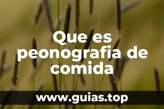 Que es comida típicda 8 Que es peonografia de comida