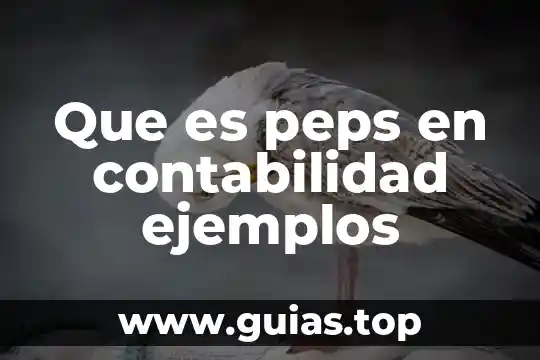 Que es la realidad aumentada ejemplos 7 Que es peps en contabilidad ejemplos