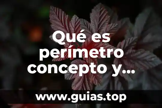 Que es la definición de un reglamento 3 Qué es perímetro concepto y definición