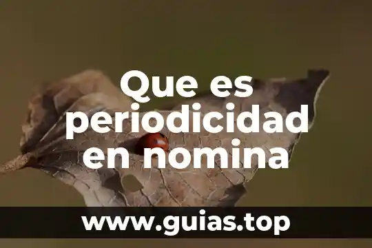 Qué es el número mol 5 Que es periodicidad en nomina