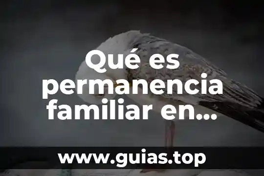 Psicología social que es para el psicologo 3 Qué es permanencia familiar en trabajo social