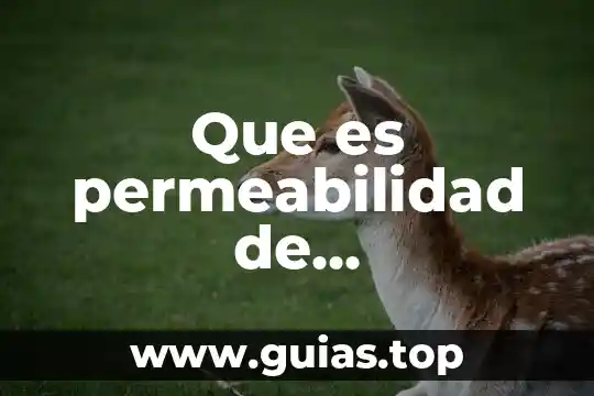 Que es microbiologia general 5 Que es permeabilidad de conocimiento