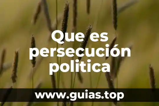 Que es el cacicazgo fragmentado en politica 5 Que es persecución politica