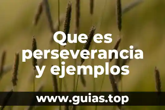 Que es perseverancia concepto 5 Que es perseverancia y ejemplos