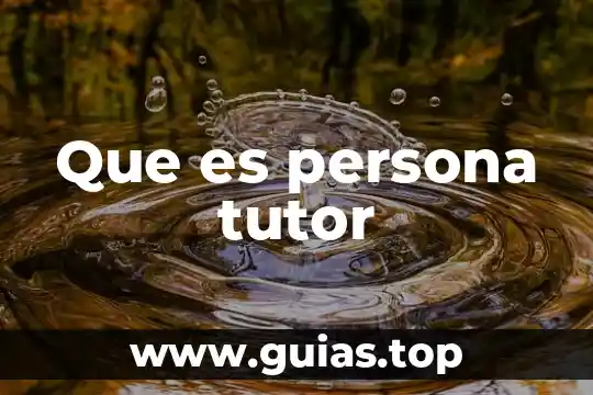 Que es ser una persona eficaz en una empresa 5 Que es persona tutor