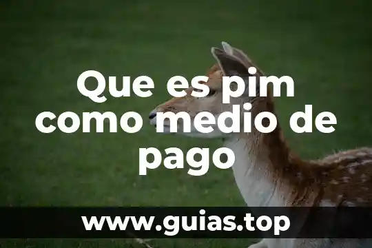 Que es tipo de pago recurrente o unico 3 Que es pim como medio de pago
