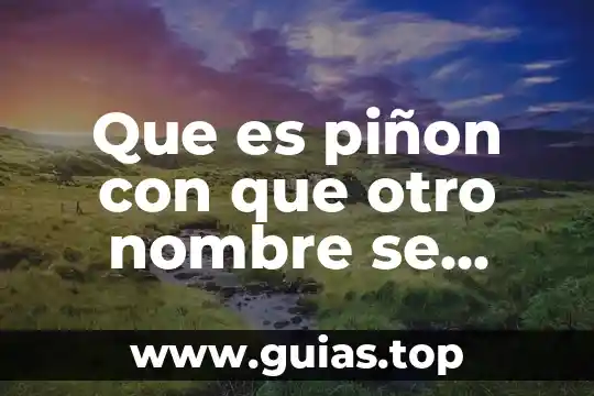 Que es sufijo en formato de nombre 6 Que es piñon con que otro nombre se conoce