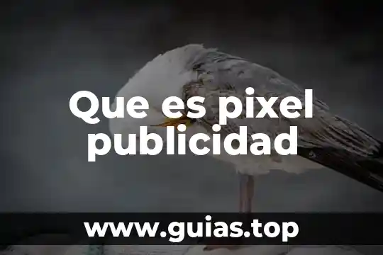 Que es pixel publicidad