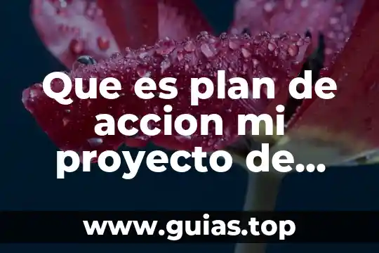 Análisis de qué es la vida filosofía 7 Que es plan de accion mi proyecto de vida