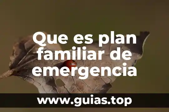 Que es una planta de emergencia y para que sirve 5 Que es plan familiar de emergencia