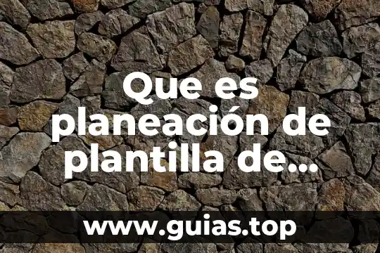 Informatica que es concepto de plantilla 7 Que es planeación de plantilla de personal