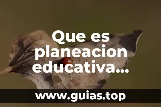 Que es nepotismo segun autores 8 Que es planeacion educativa segun autores