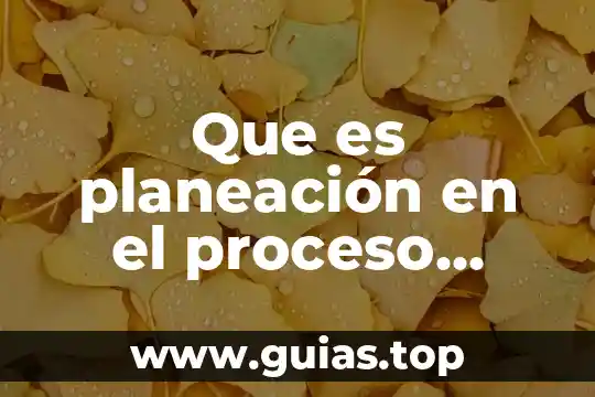 Mapa de sol que es una compañia 5 Que es planeación en el proceso administratico