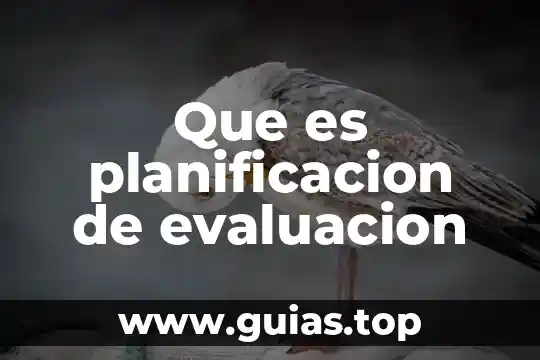 Que es evaluar y tipos de evaluacion 6 Que es planificacion de evaluacion