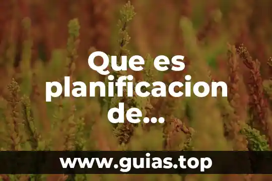 Qué es la visión de una investigación 5 Que es planificacion de investigación en evaluacion psicologica