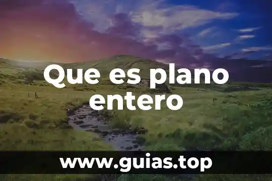 Que es el plano cortesino 5 Que es plano entero