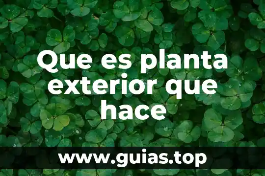 Que es booking en comercio exterior 4 Que es planta exterior que hace