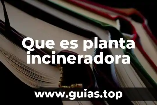 Que es la planta la vanda 7 Que es planta incineradora