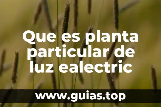 Que es un embrion en una planta 6 Que es planta particular de luz ealectric