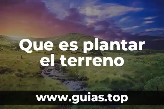 Que es queratosis plantar 3 Que es plantar el terreno