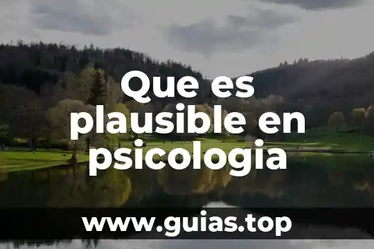 En la psicología que es el espejo 5 Que es plausible en psicologia