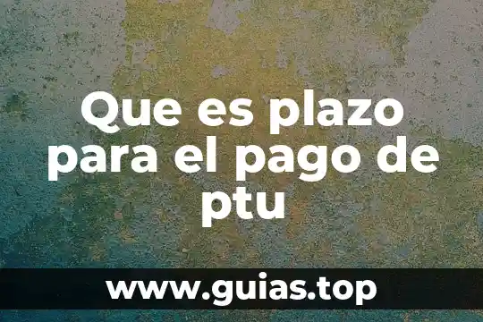 Que es tipo de pago recurrente o unico 6 Que es plazo para el pago de ptu