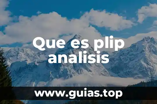 Análisis de tesis que es 3 Que es plip analisis