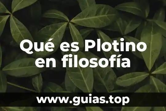 Que es el ser como sustantivo filosofia 8 Qué es Plotino en filosofía