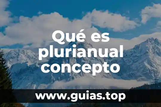 Que es ser posesivo pasivo 7 Qué es plurianual concepto