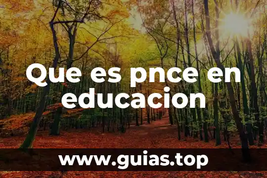 Qué es la educación según Dewey 6 Que es pnce en educacion