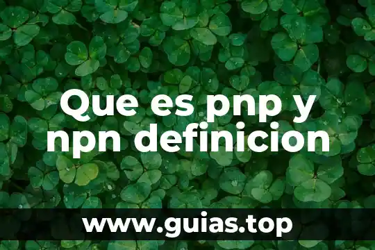 Que es seleccion definición de ambiente 8 Que es pnp y npn definicion