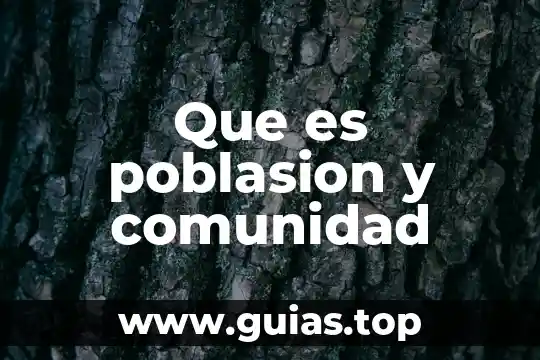 Que es ser de la comunidad lgbt 5 Que es poblasion y comunidad
