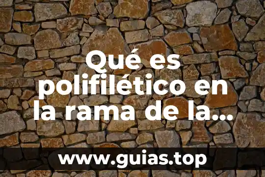 Qué es la ética rama de la filosofía 6 Qué es polifilético en la rama de la biología
