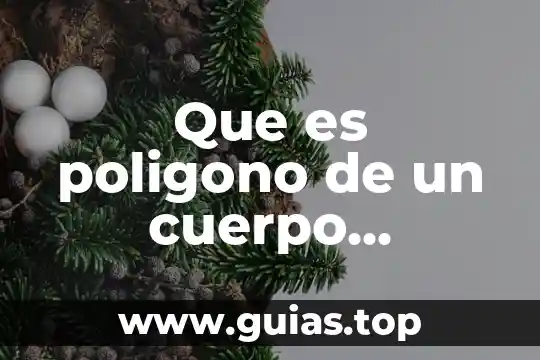 Que es toro de cuerpo geometrico 3 Que es poligono de un cuerpo geometrico