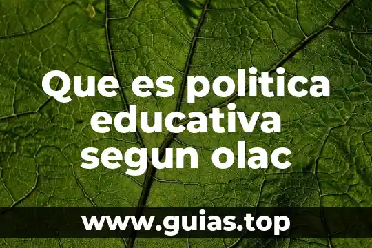 Qué es criticar según la filosofía 8 Que es politica educativa segun olac