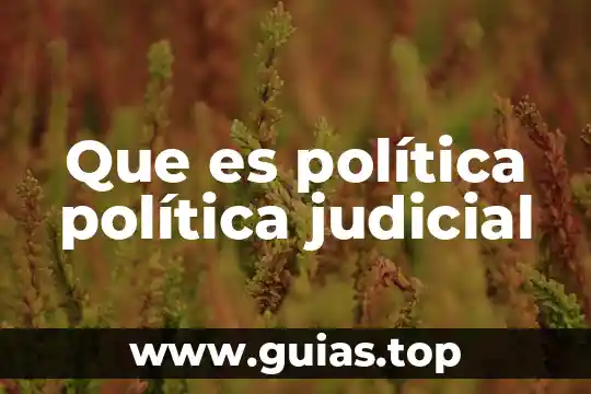 Planta cep que es 4 Que es política política judicial