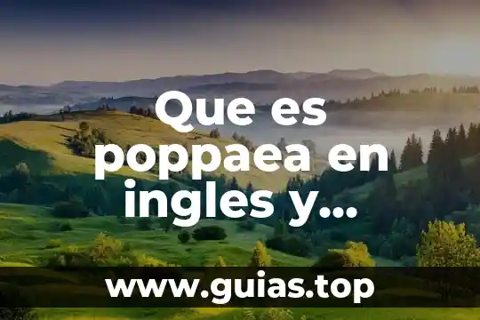 Que es un servicio comunitario en ingles y español 8 Que es poppaea en ingles y español
