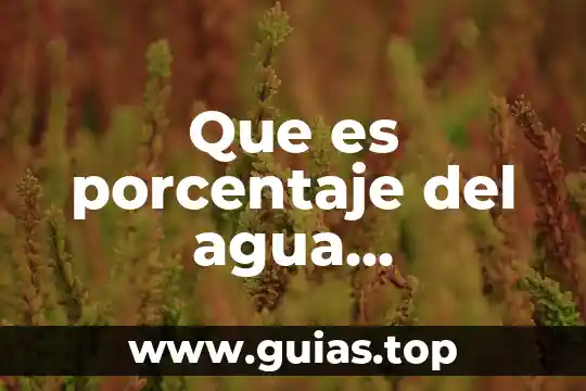 Que es al agua alcalina 5 Que es porcentaje del agua precipitada