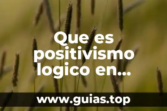 Concepto de que es lo bueno 5 Que es positivismo logico en filosofia