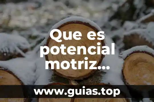 Concepto de que es un circuito motriz 3 Que es potencial motriz educacion fisica