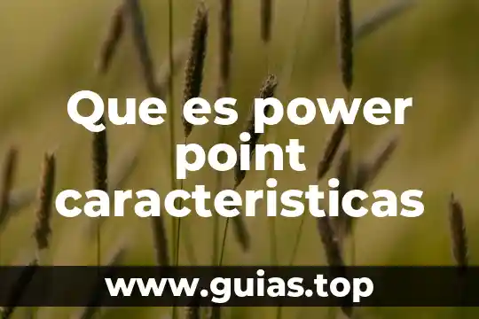 Que es un sistema de informacion presentacion en power point 5 Que es power point caracteristicas